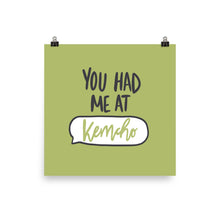 Load image into Gallery viewer, KEMCHO POSTER